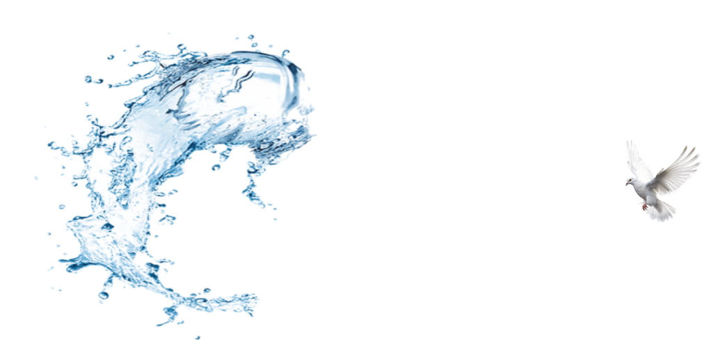 Oceans Logo